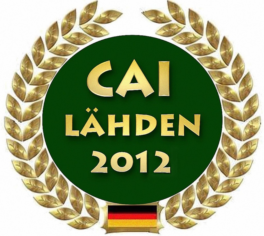 cai2012